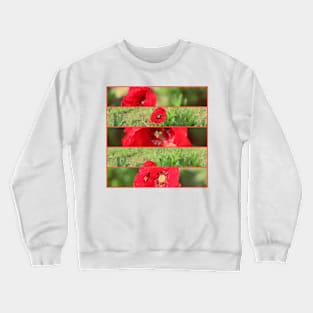 Collage Fleurs Poppies Crewneck Sweatshirt